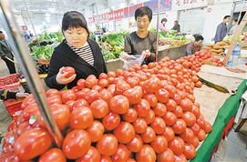 蔬菜價(jià)格四周累計(jì)回落6.3%，食用農(nóng)產(chǎn)品批發(fā)態(tài)勢(shì)分析